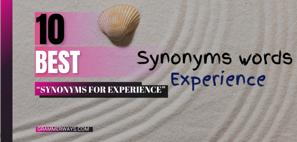 synonyms for experience