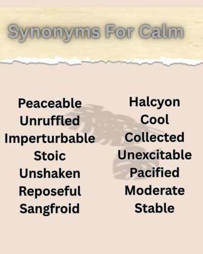 synonyms for calm