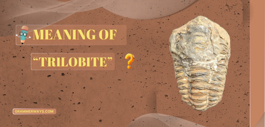 Trilobite Meaning