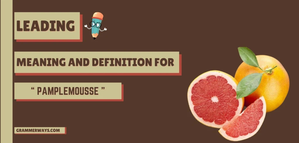 pamplemousse meaning