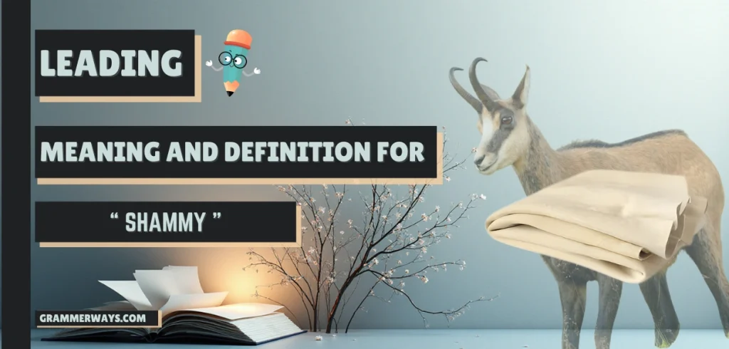 Shammy Definition: Facts with Meaning, Context and Usage shammy definition
