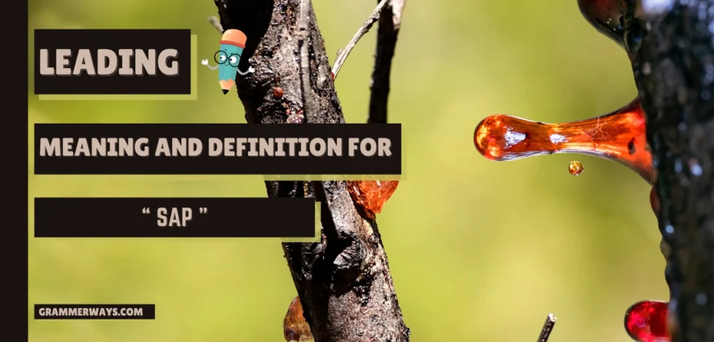 Sap Meaning in Hindi