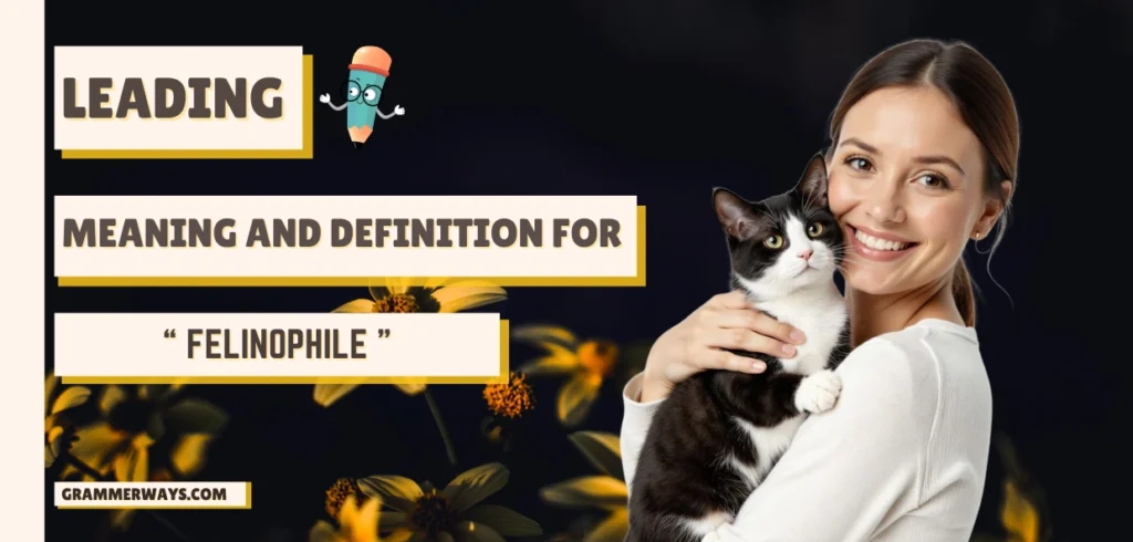 felinophile meaning