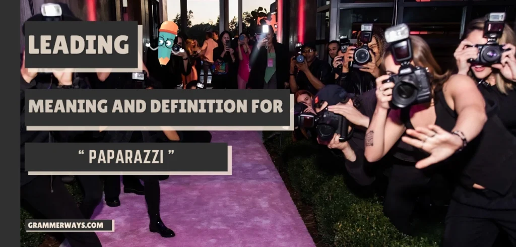 Paparazzi Meaning In Hindi